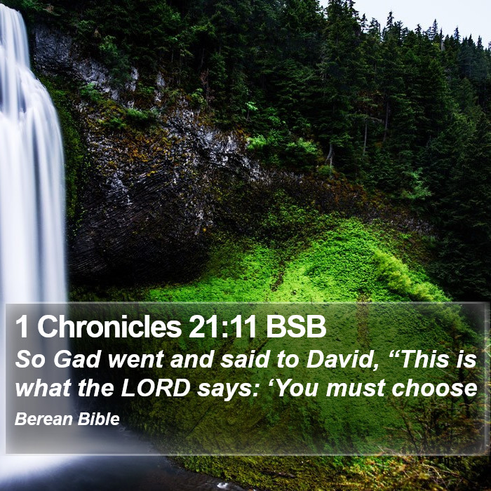 1 Chronicles 21:11 BSB Bible Study