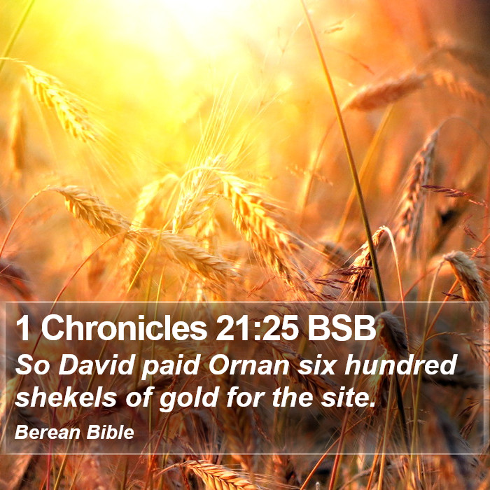 1 Chronicles 21:25 BSB Bible Study