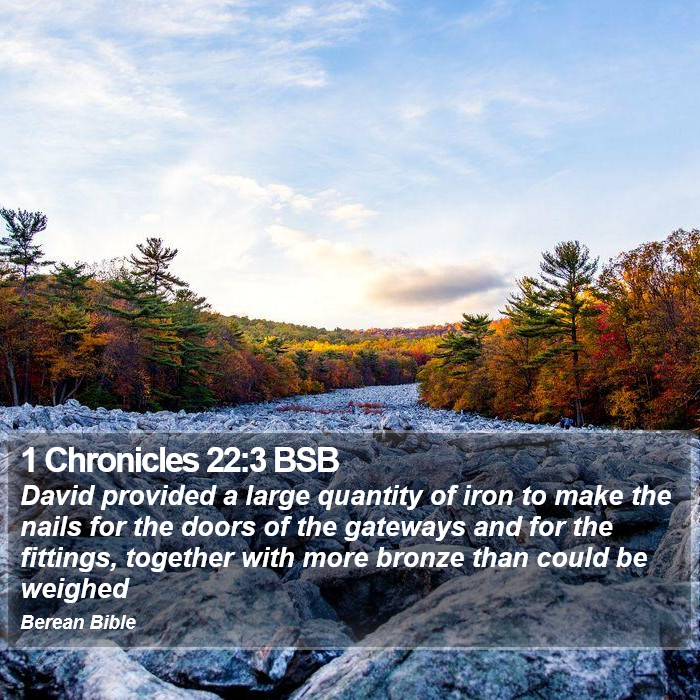 1 Chronicles 22:3 BSB Bible Study