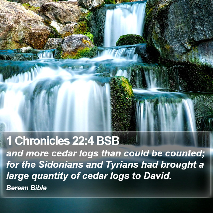 1 Chronicles 22:4 BSB Bible Study