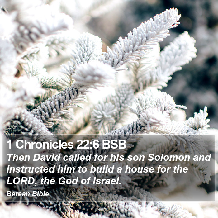 1 Chronicles 22:6 BSB Bible Study