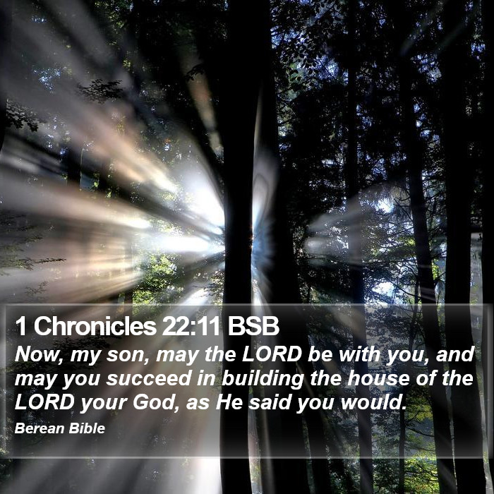 1 Chronicles 22:11 BSB Bible Study