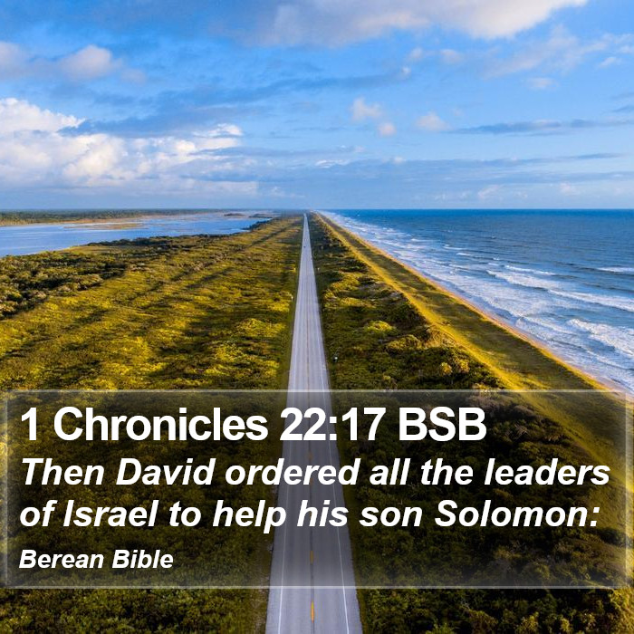 1 Chronicles 22:17 BSB Bible Study