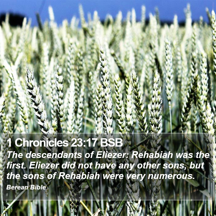 1 Chronicles 23:17 BSB Bible Study