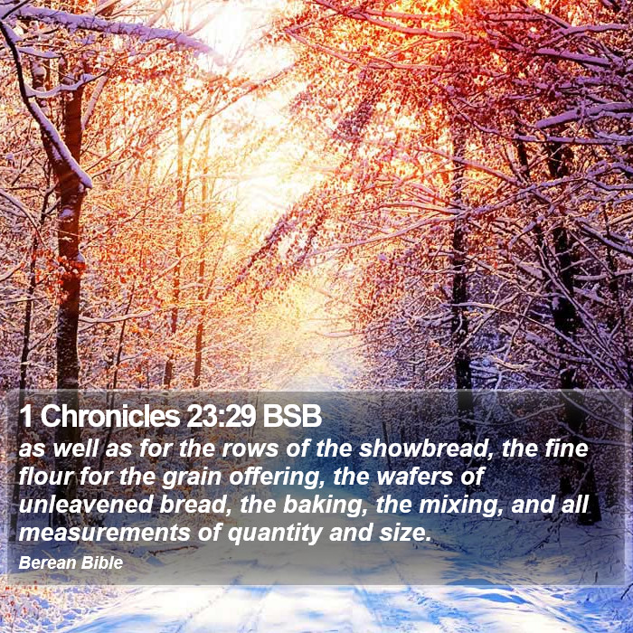 1 Chronicles 23:29 BSB Bible Study