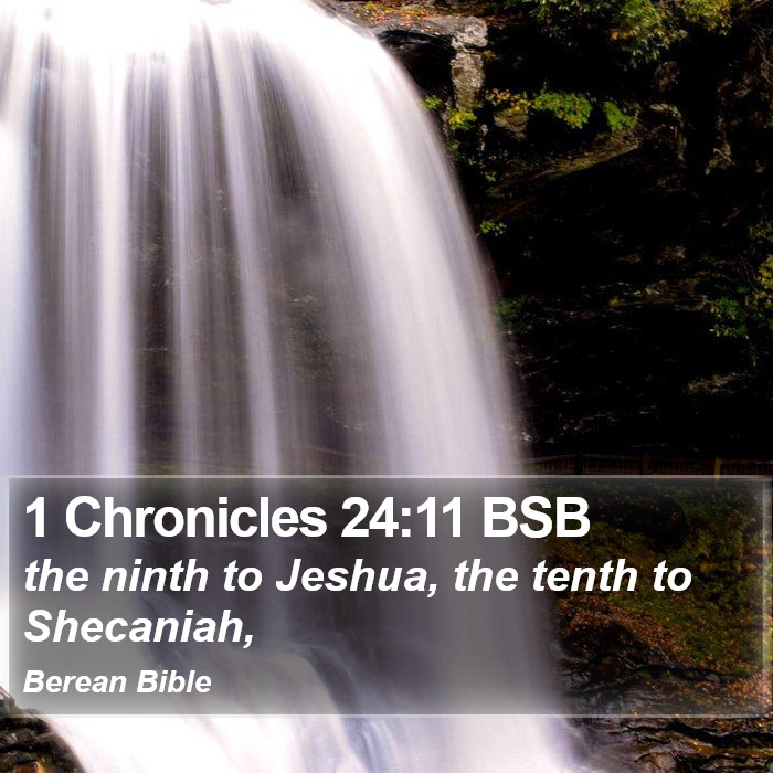 1 Chronicles 24:11 BSB Bible Study