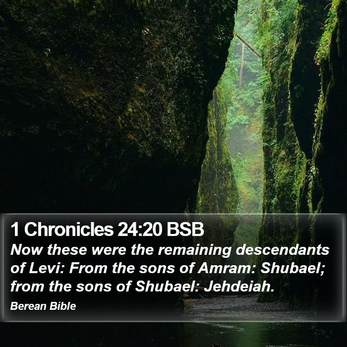 1 Chronicles 24:20 BSB Bible Study