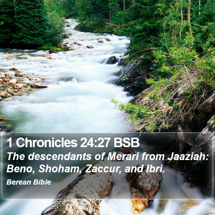 1 Chronicles 24:27 BSB Bible Study