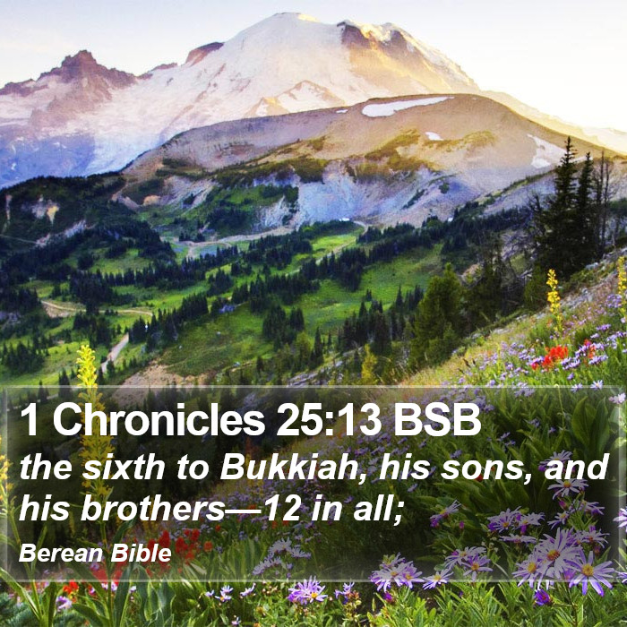 1 Chronicles 25:13 BSB Bible Study