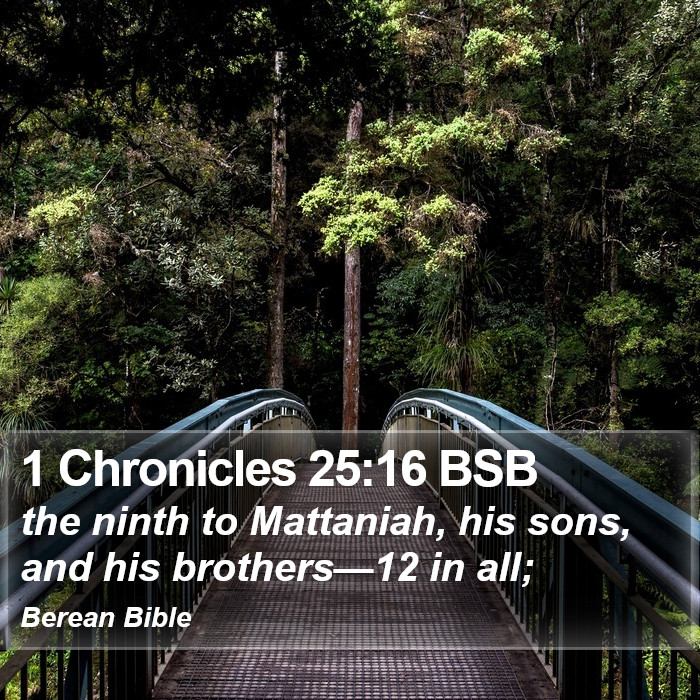 1 Chronicles 25:16 BSB Bible Study