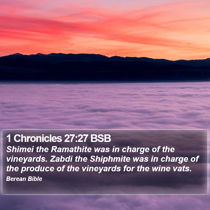 1 Chronicles 27:27 BSB Bible Study