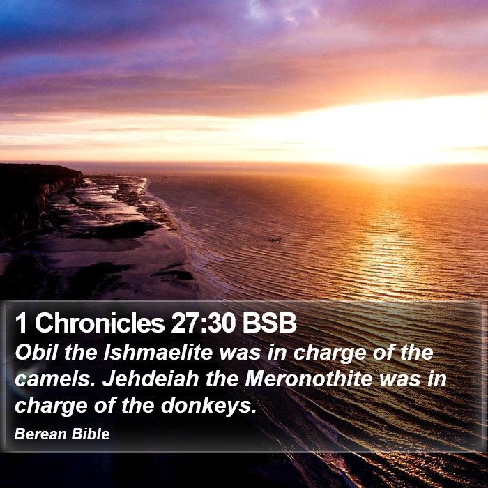 1 Chronicles 27:30 BSB Bible Study