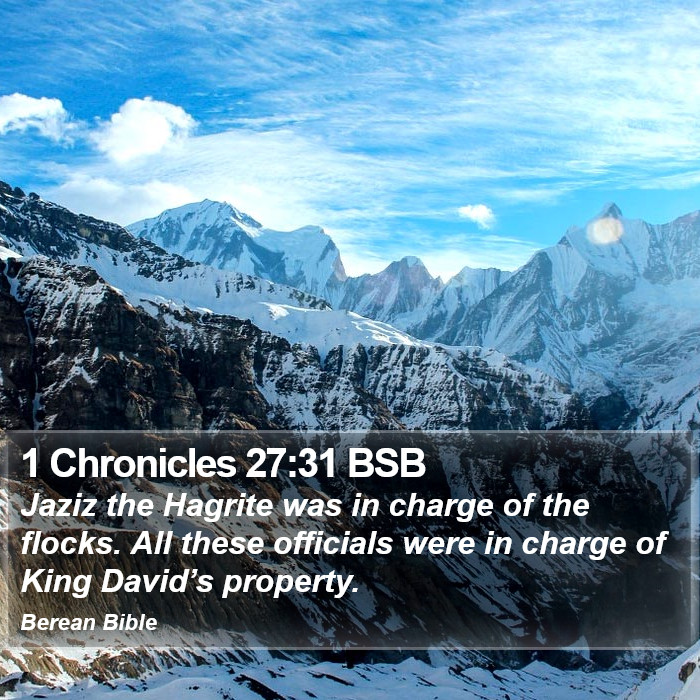 1 Chronicles 27:31 BSB Bible Study