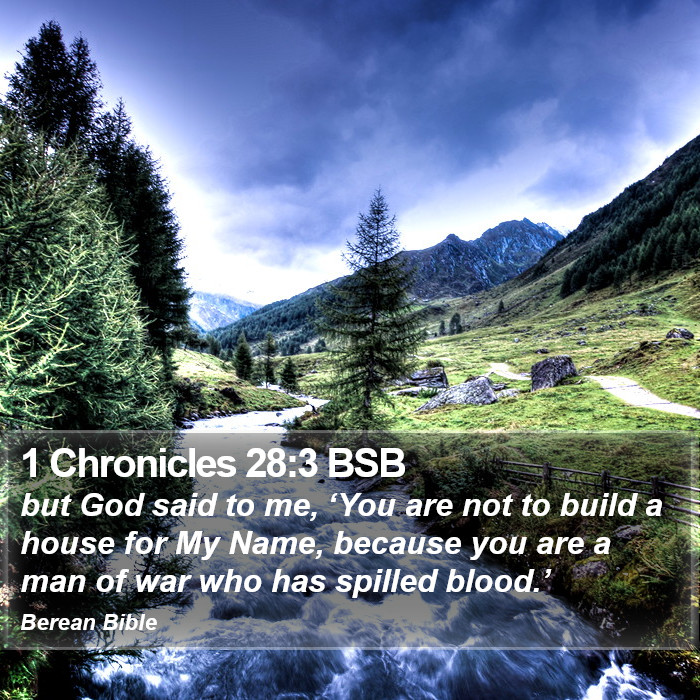 1 Chronicles 28:3 BSB Bible Study