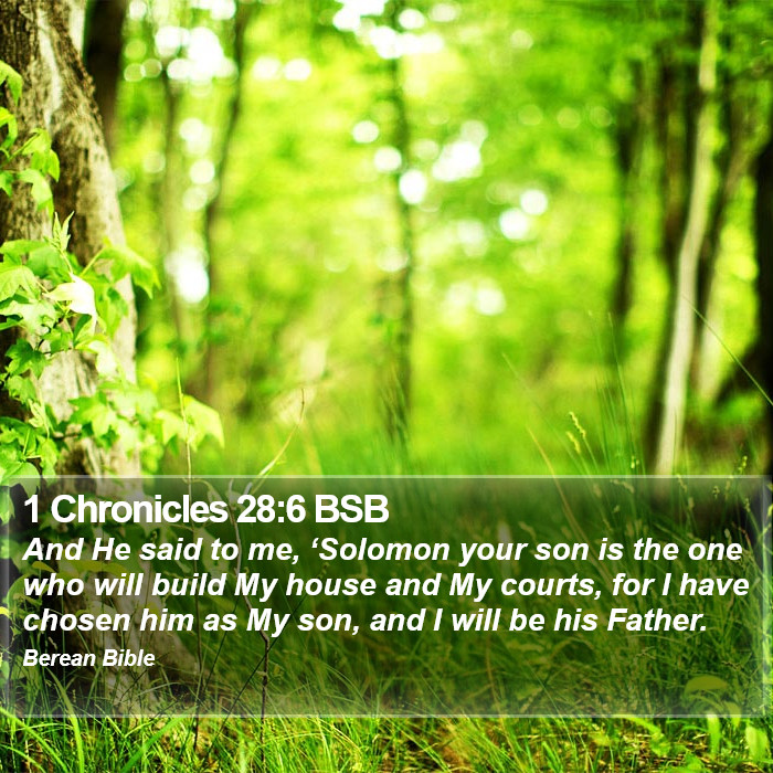 1 Chronicles 28:6 BSB Bible Study