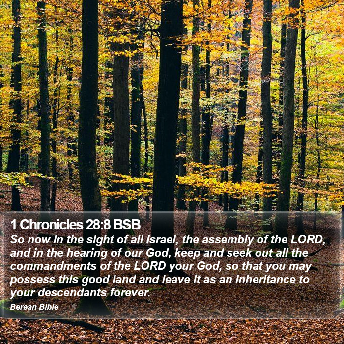 1 Chronicles 28:8 BSB Bible Study