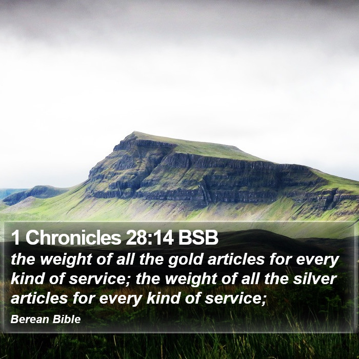 1 Chronicles 28:14 BSB Bible Study