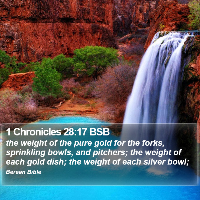 1 Chronicles 28:17 BSB Bible Study