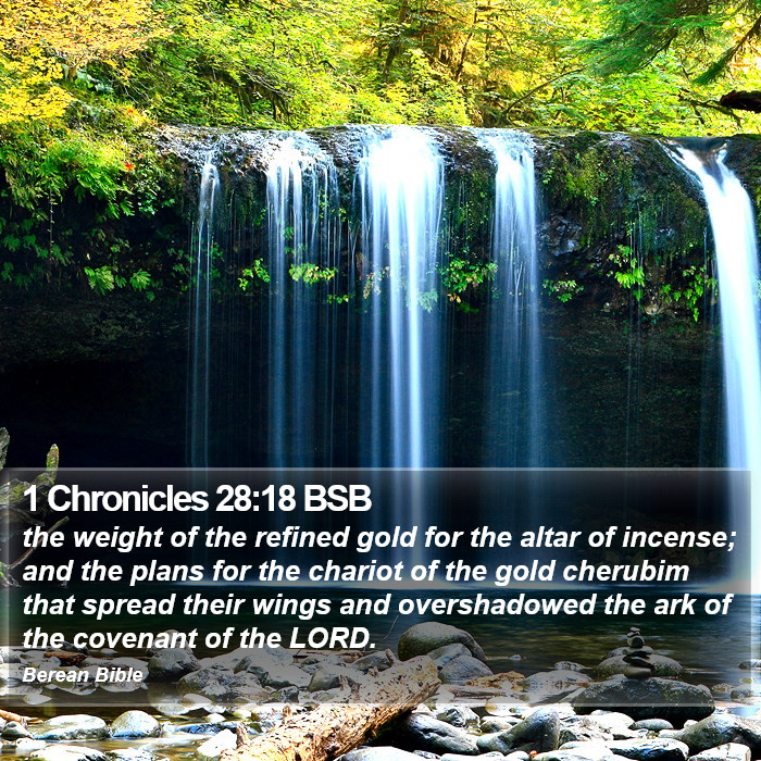 1 Chronicles 28:18 BSB Bible Study