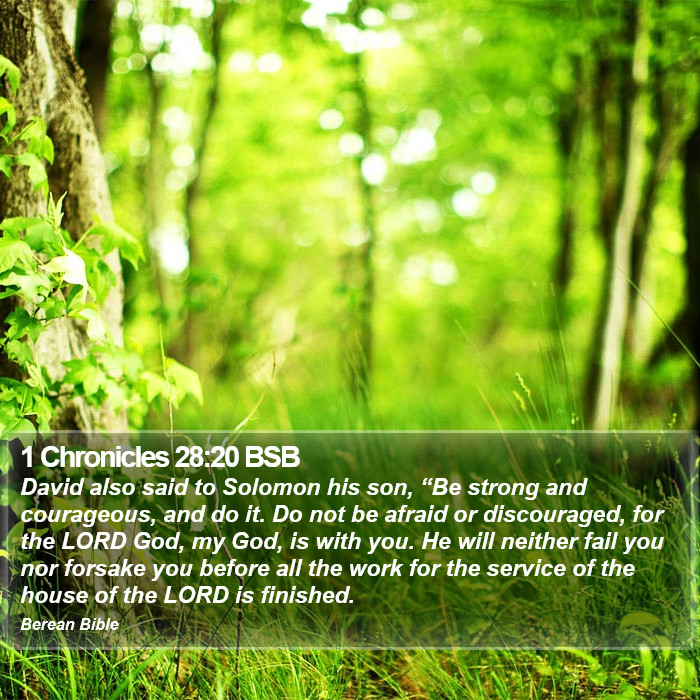 1 Chronicles 28:20 BSB Bible Study