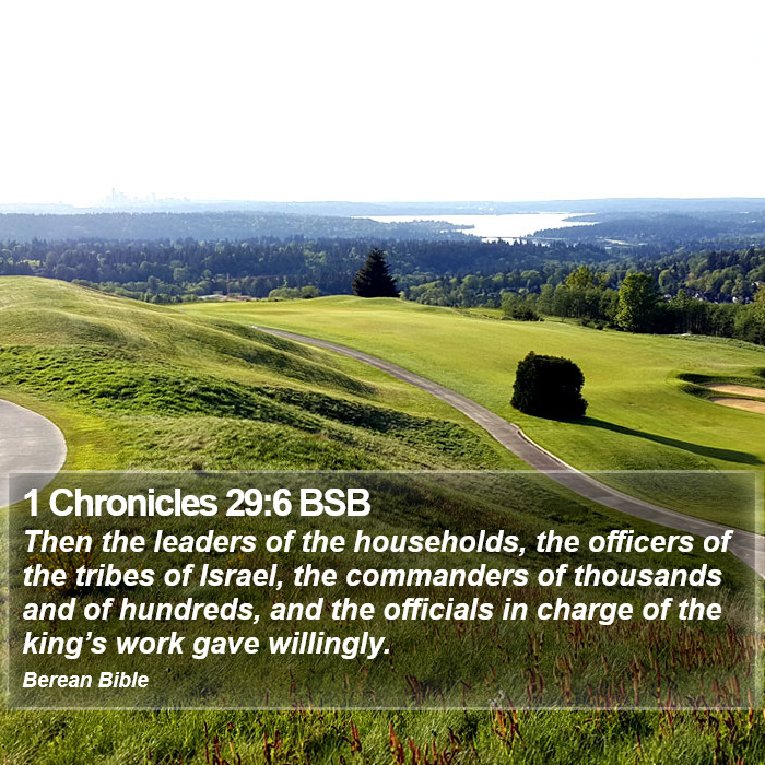 1 Chronicles 29:6 BSB Bible Study