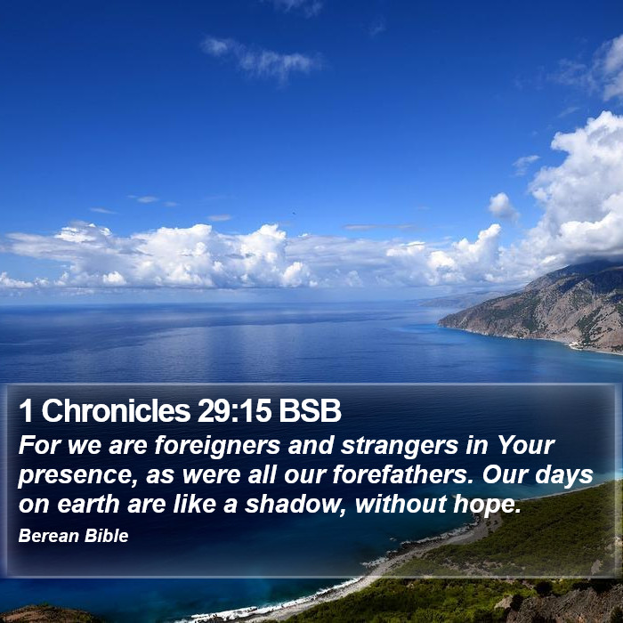 1 Chronicles 29:15 BSB Bible Study