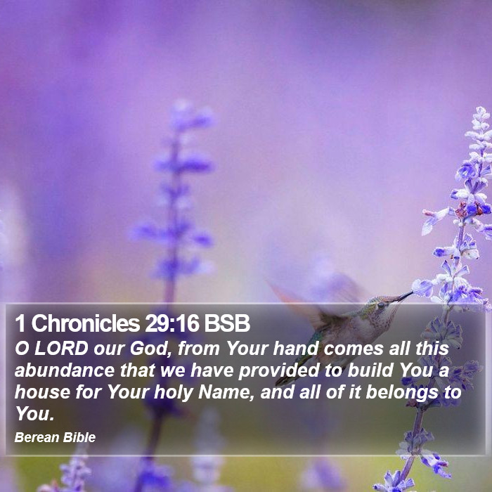 1 Chronicles 29:16 BSB Bible Study