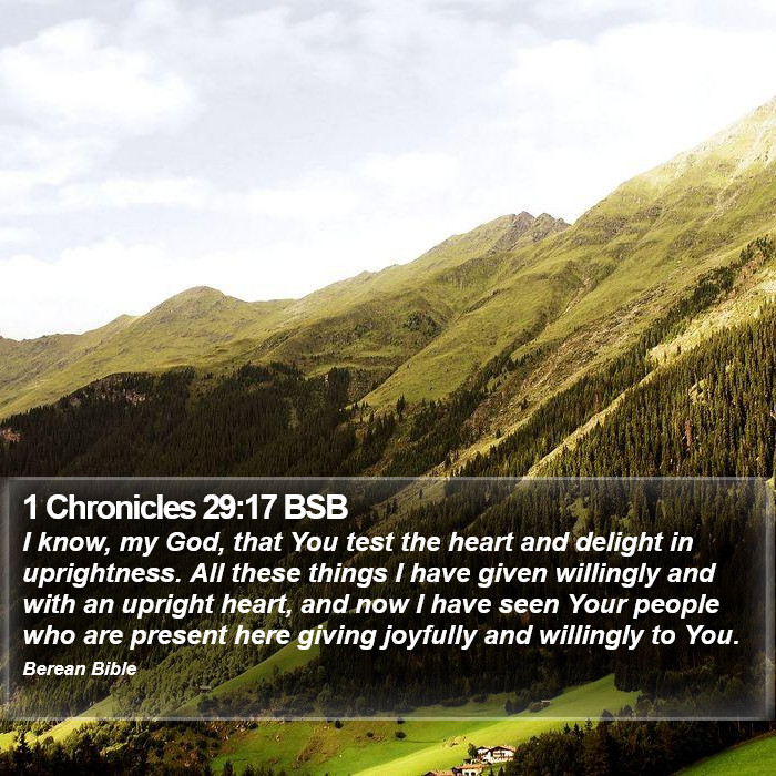 1 Chronicles 29:17 BSB Bible Study