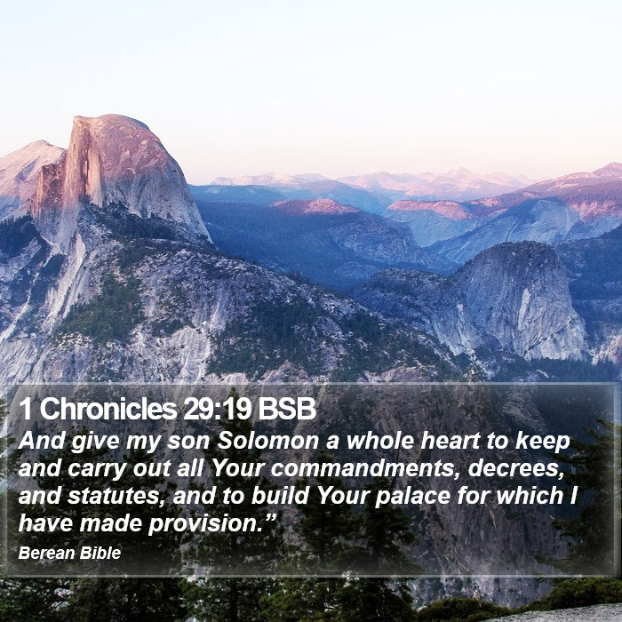 1 Chronicles 29:19 BSB Bible Study