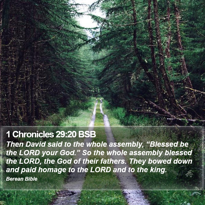 1 Chronicles 29:20 BSB Bible Study