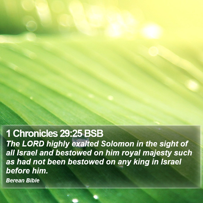 1 Chronicles 29:25 BSB Bible Study