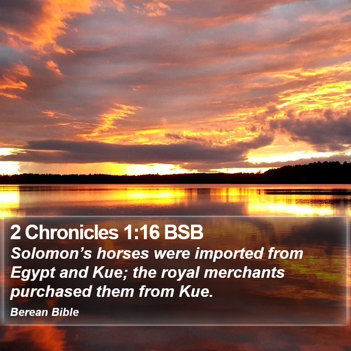 2 Chronicles 1:16 BSB Bible Study