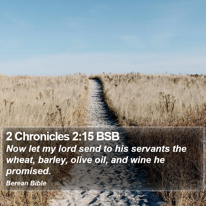 2 Chronicles 2:15 BSB Bible Study