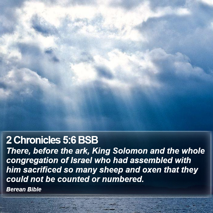 2 Chronicles 5:6 BSB Bible Study