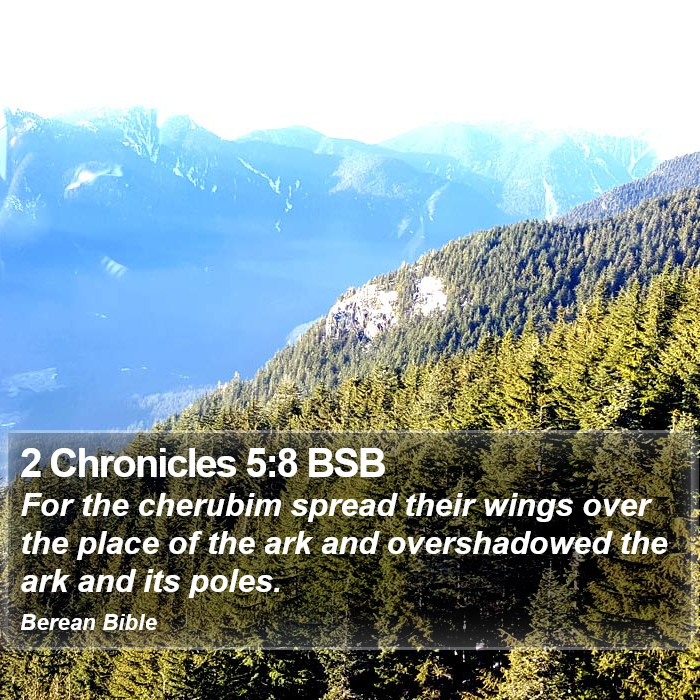 2 Chronicles 5:8 BSB Bible Study