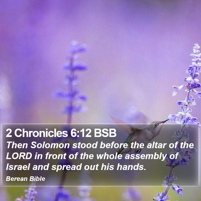 2 Chronicles 6:12 BSB Bible Study