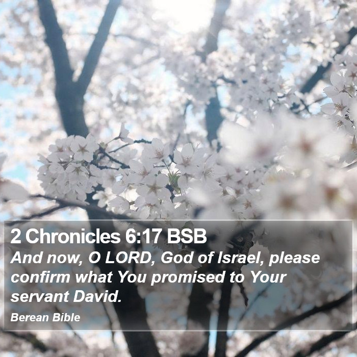 2 Chronicles 6:17 BSB Bible Study