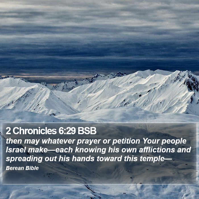 2 Chronicles 6:29 BSB Bible Study