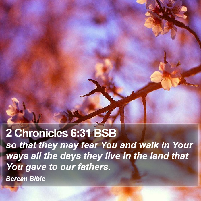 2 Chronicles 6:31 BSB Bible Study