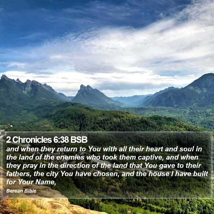 2 Chronicles 6:38 BSB Bible Study