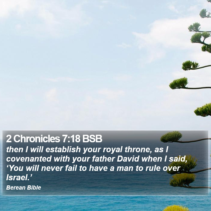 2 Chronicles 7:18 BSB Bible Study