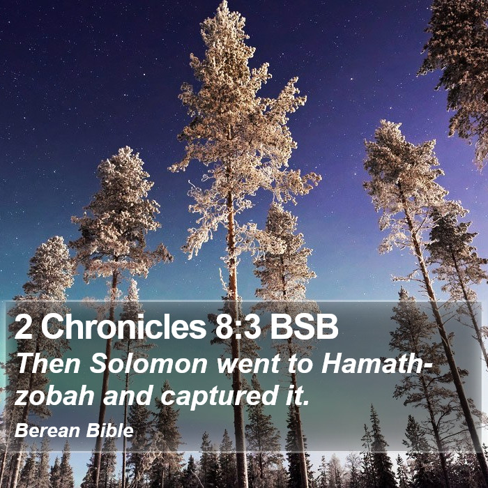 2 Chronicles 8:3 BSB Bible Study