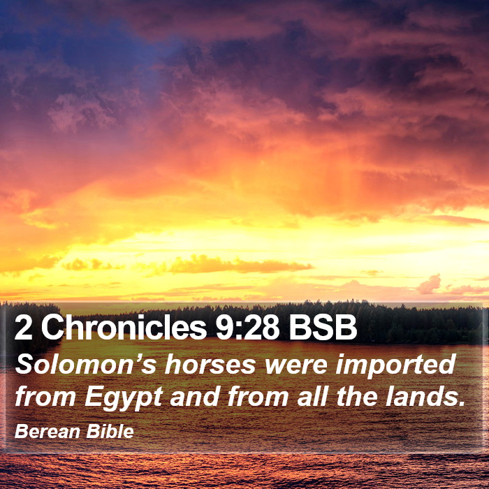 2 Chronicles 9:28 BSB Bible Study