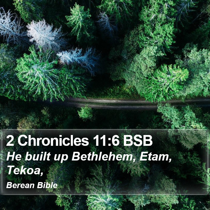 2 Chronicles 11:6 BSB Bible Study