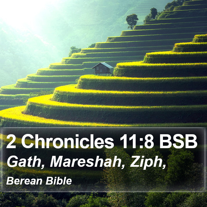 2 Chronicles 11:8 BSB Bible Study