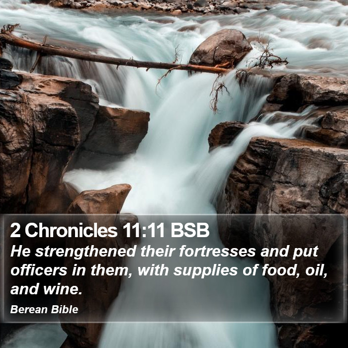 2 Chronicles 11:11 BSB Bible Study