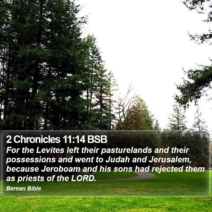 2 Chronicles 11:14 BSB Bible Study