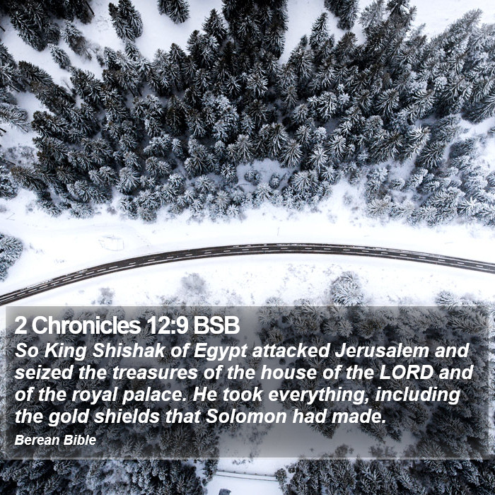 2 Chronicles 12:9 BSB Bible Study