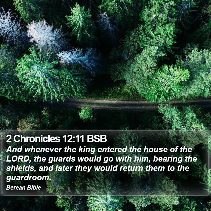 2 Chronicles 12:11 BSB Bible Study