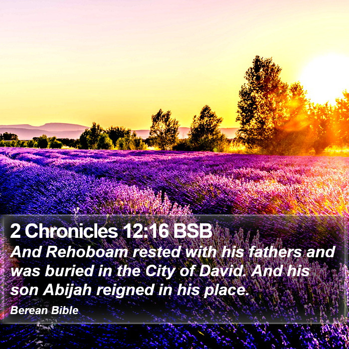 2 Chronicles 12:16 BSB Bible Study